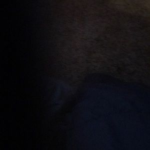 Meet your Posher, Isabella